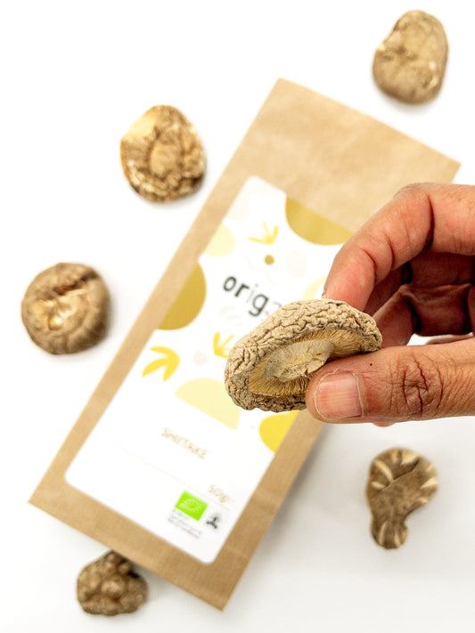 Shiitakes japonais bio - Champignons séchés parfumés - Origami - 50g